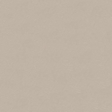 Softside Islander 9151 Oyster White Automotive / Marine Upholstery Fabric