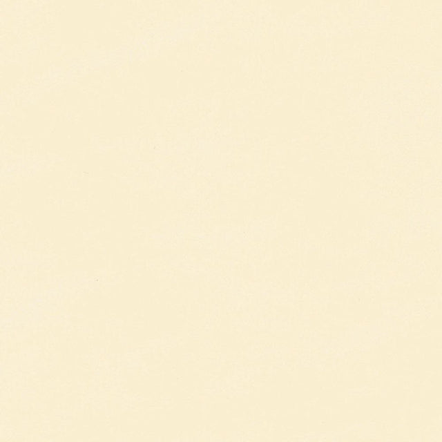 Softside Islander 9179 Titan Neutral Automotive / Marine Upholstery Fabric
