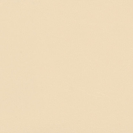 Softside Navigator 9894 Parchment Automotive / Marine Upholstery Fabric