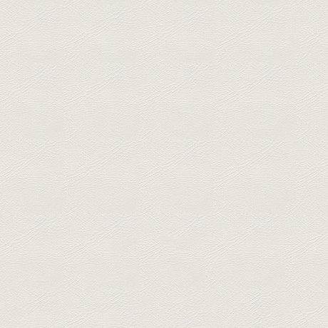 Softside Pegasus 1613 Brilliant White Automotive / Marine Upholstery Fabric