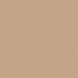 Softside Polaris Marine POL 1622 Sand Dollar Automotive / Marine Upholstery Fabric