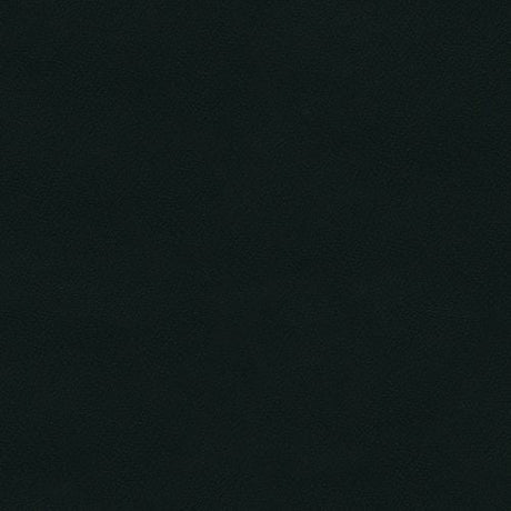 Spirit 393 Black Contract Automotive and Marine Upholstery Fabric
