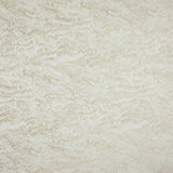 Stout Angora Buff 3 Comfortable Living Collection Multipurpose Fabric