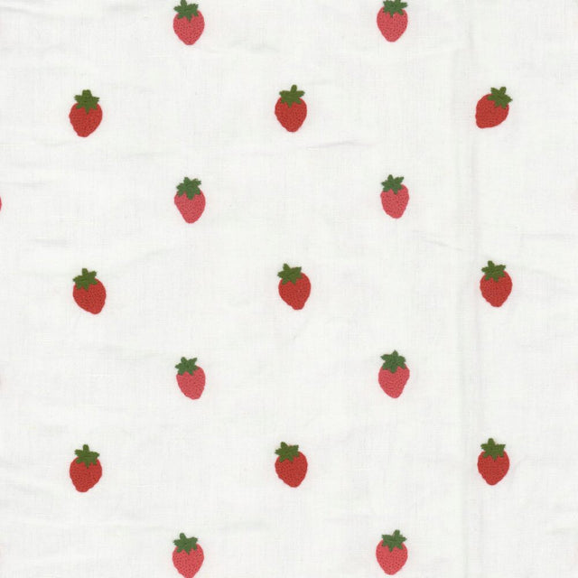Stout Azle Strawberry 1 Rainbow Library Collection Multipurpose Fabric