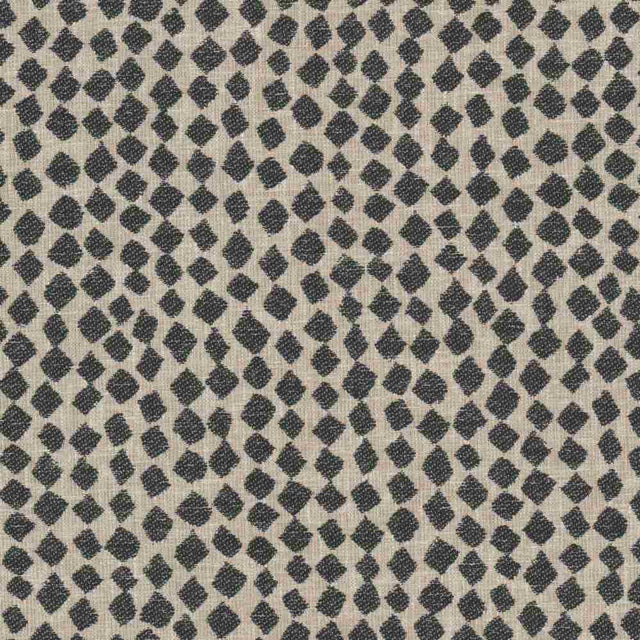 Stout Bluefield Ebony 2 Rainbow Library Collection Indoor Upholstery Fabric