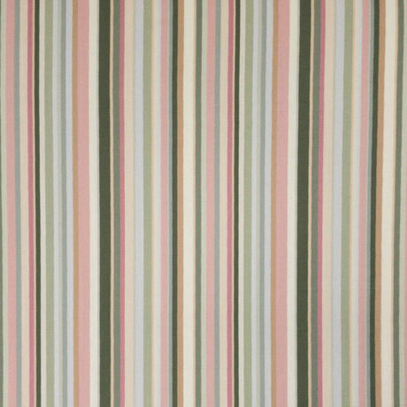 Stout Clandon Olive 1 Rainbow Library Collection Multipurpose Fabric
