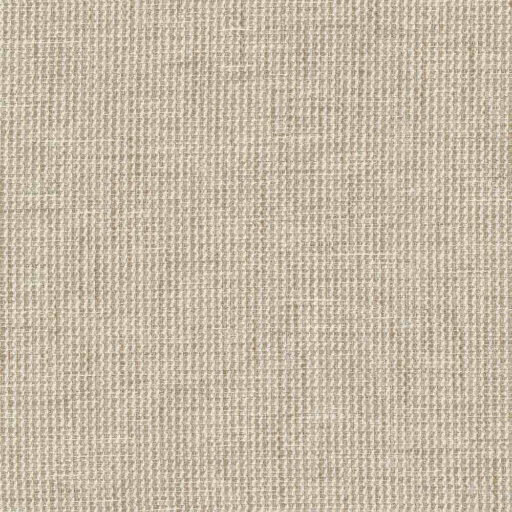 Stout Dumas Beige 1 Rainbow Library Collection Multipurpose Fabric