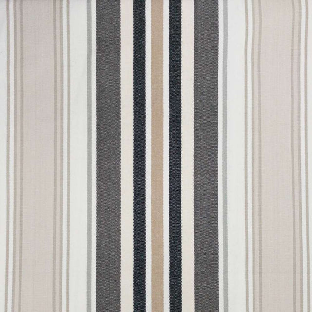 Stout Glow Asphalt 3 Rainbow Library Collection Multipurpose Fabric