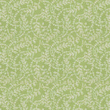 Stout Rhumba Seedling 1 Comfortable Living Collection Multipurpose Fabric