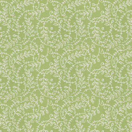 Stout Rhumba Seedling 1 Comfortable Living Collection Multipurpose Fabric