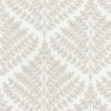 Stout Stinger Driftwood 2 Rainbow Library Collection Multipurpose Fabric