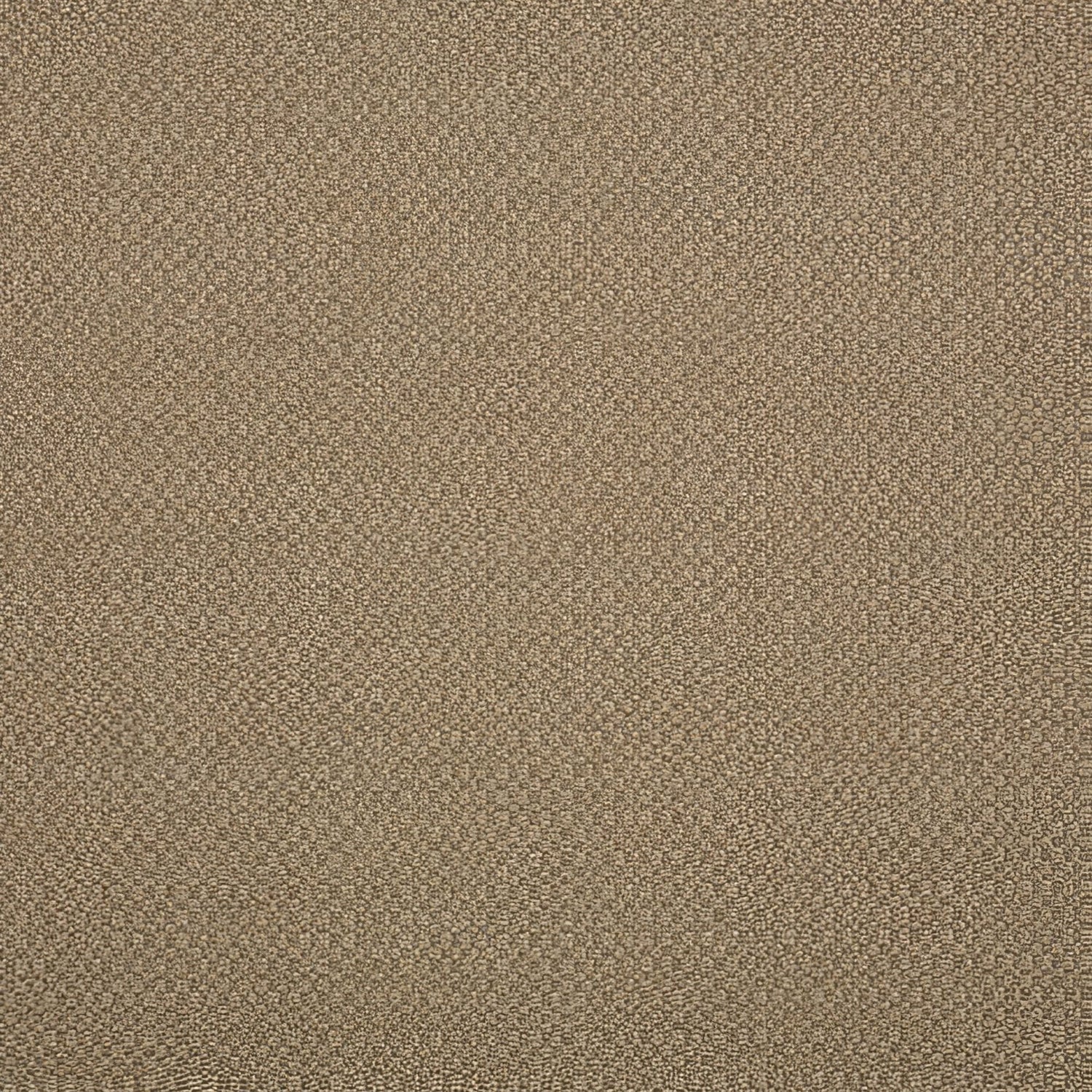 Sunbrella Action Taupe 44285 - 0003 Elements Collection Upholstery Fabric