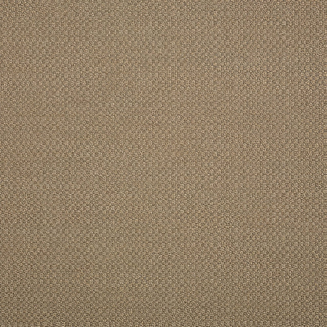 Sunbrella Action Taupe 44285 - 0003 Elements Collection Upholstery Fabric