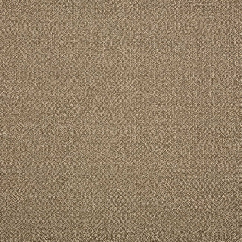 Sunbrella Action Taupe 44285-0003 Elements Collection Upholstery Fabric