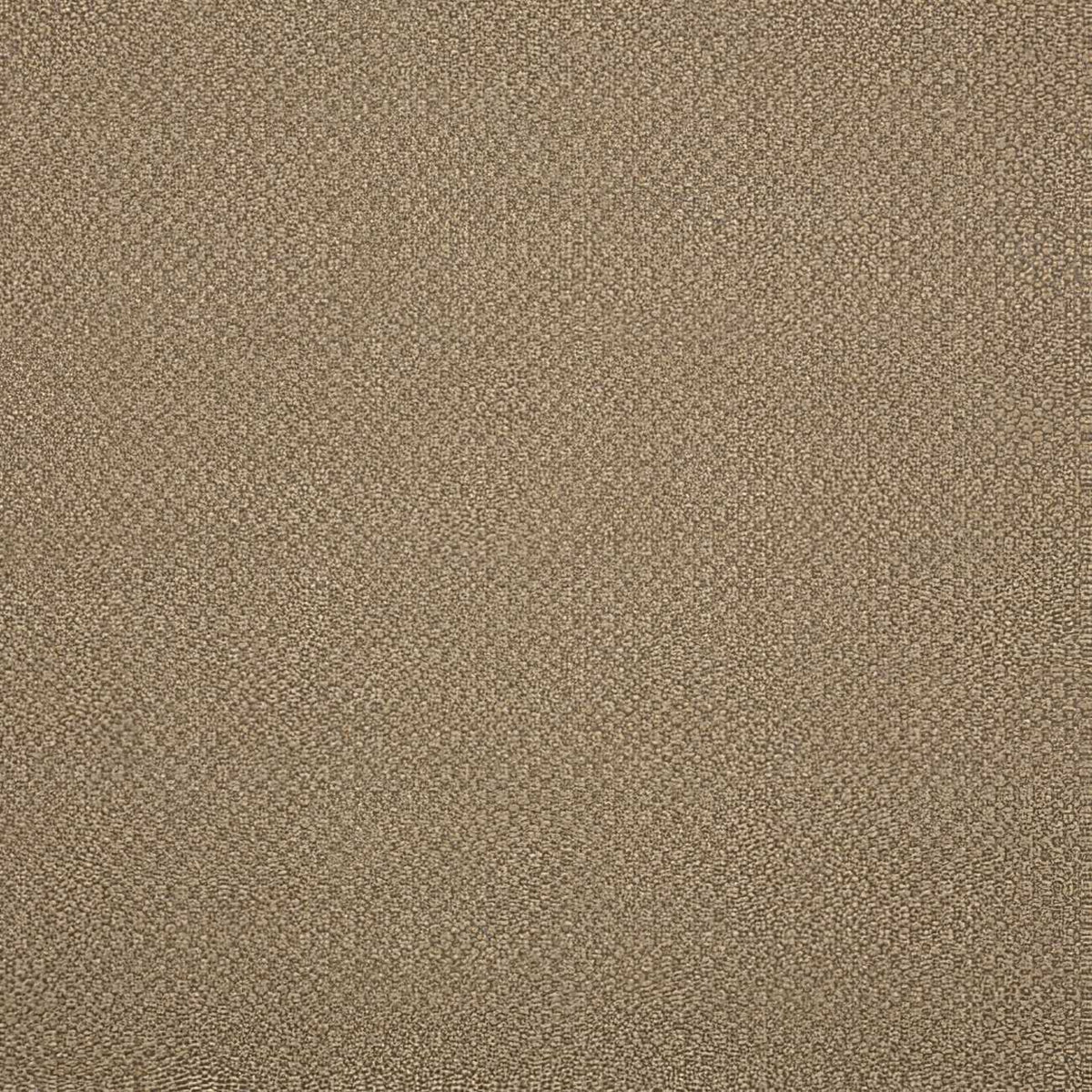 Sunbrella Action Taupe 44285-0003 Elements Collection Upholstery Fabric
