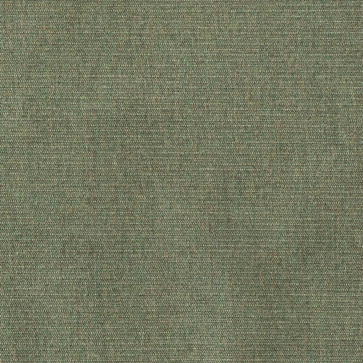 Sunbrella Ambrose Fern 40608 - 0010 Upholstery Fabric