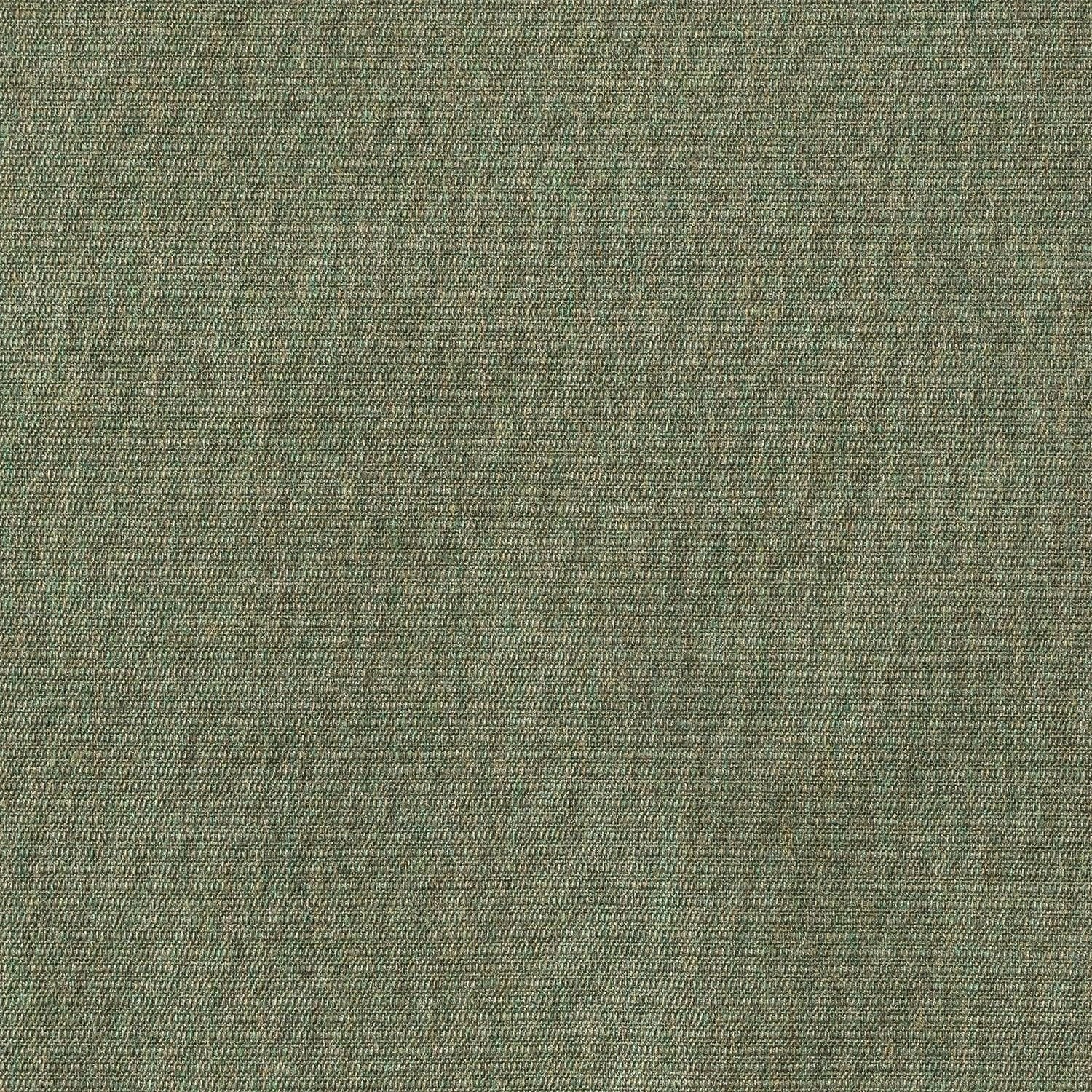 Sunbrella Ambrose Fern 40608 - 0010 Upholstery Fabric