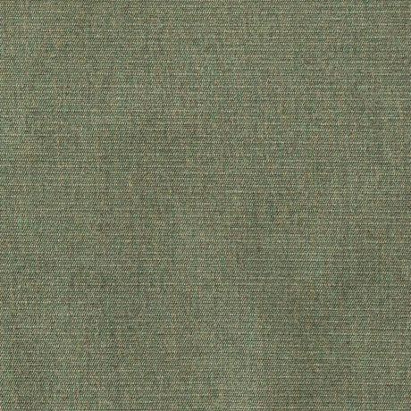 Sunbrella Ambrose Fern 40608 - 0010 Upholstery Fabric