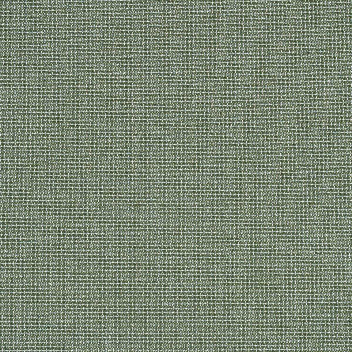 Sunbrella Bliss Aloe 48135-0017 Perspectives Collection Upholstery Fabric