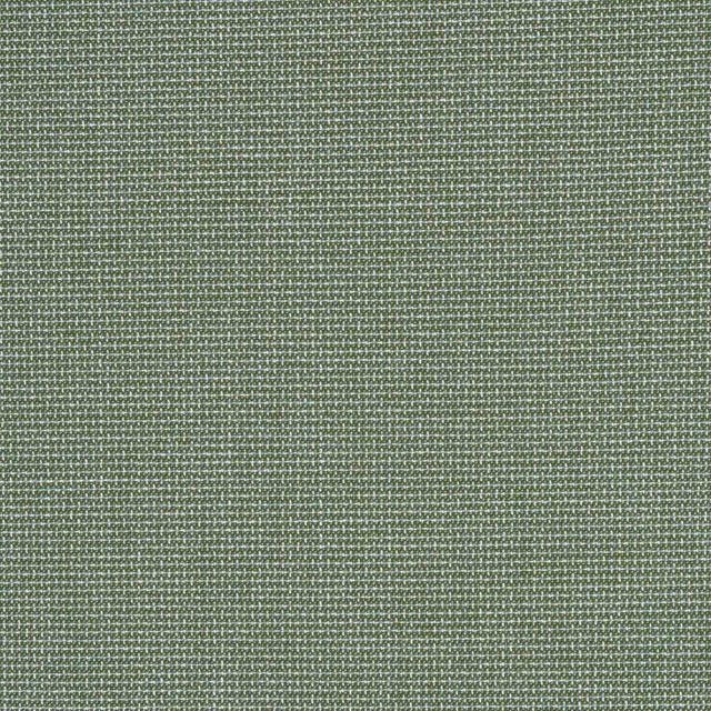 Sunbrella Bliss Aloe 48135-0017 Perspectives Collection Upholstery Fabric