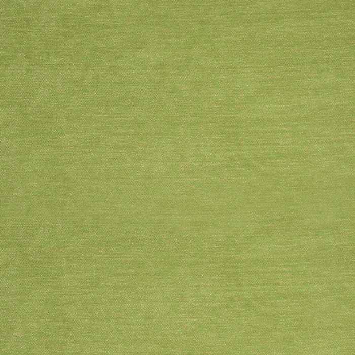 Sunbrella by Alaxi Bentley Kiwi Atmospherics Collection Upholstery Fabric