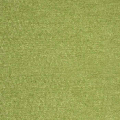 Sunbrella by Alaxi Bentley Kiwi Atmospherics Collection Upholstery Fabric