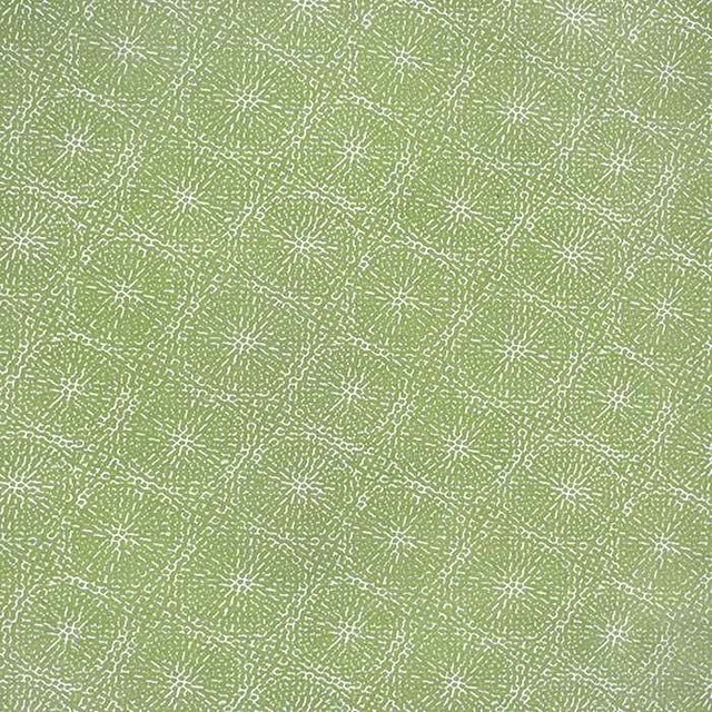 Sunbrella by Alaxi Copeland Aloe Atmospherics Collection Upholstery Fabric