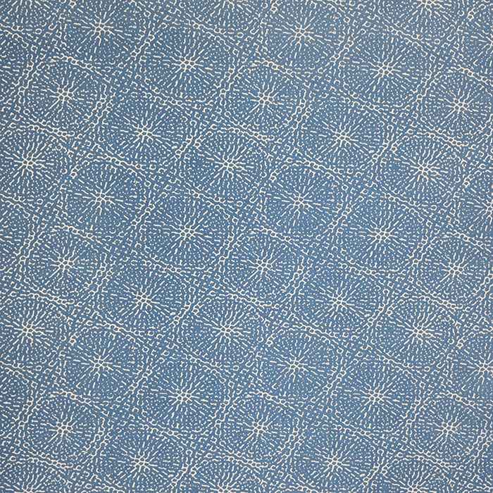 Sunbrella by Alaxi Copeland Hyacinth Atmospherics Collection Upholstery Fabric