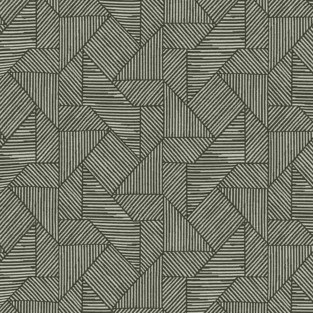Sunbrella by Mayer Acuco Zebra 445-006 Wonderlust Collection Upholstery Fabric