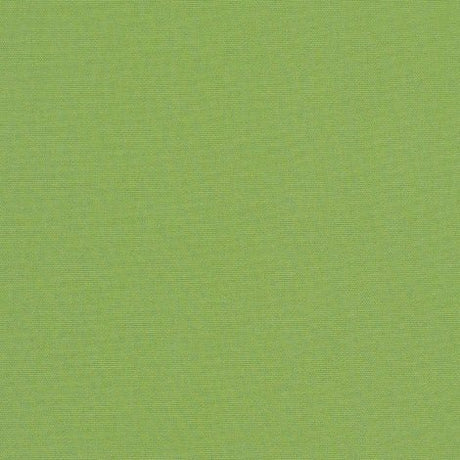 Sunbrella Canvas Ginkgo 54011-0000 Elements Collection Upholstery Fabric