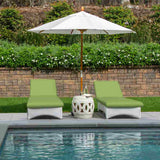 Sunbrella Canvas Ginkgo 54011-0000 Elements Collection Upholstery Fabric