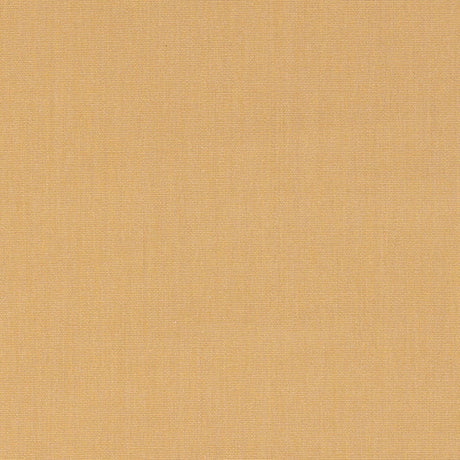 Sunbrella Canvas Harvest 14165 - 0000 Upholstery Fabric