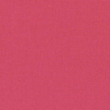 Sunbrella Canvas Hot Pink 5462-0000 Elements Collection Upholstery Fabric
