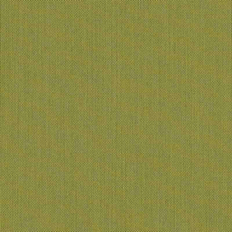 Sunbrella Canvas Lichen SJA 3970 137 European Collection Upholstery Fabric