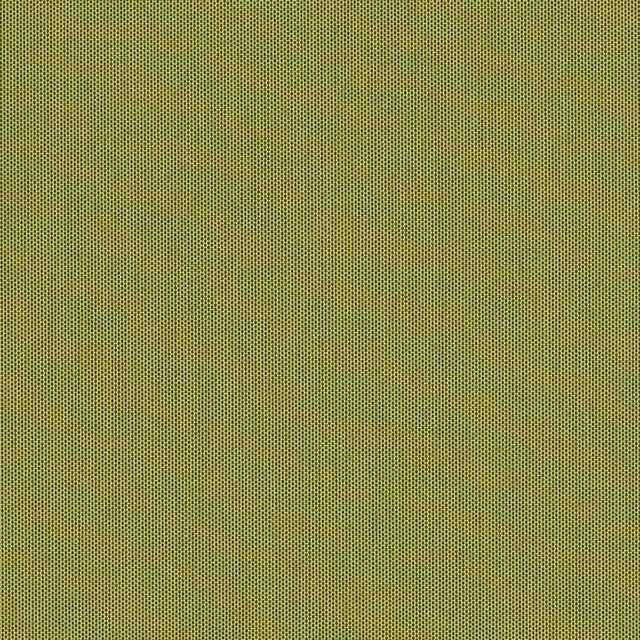 Sunbrella Canvas Lichen SJA 3970 137 European Collection Upholstery Fabric
