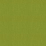 Sunbrella Canvas Macao SJA 3738 137 European Collection Upholstery Fabric