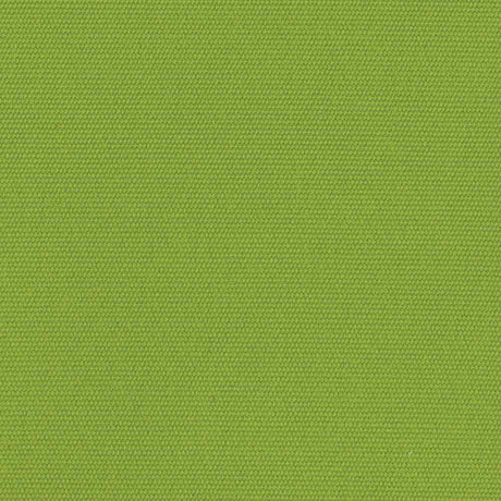 Sunbrella Canvas Macaw 5429-0000 Elements Collection Upholstery Fabric