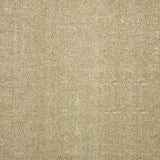 Sunbrella Chartres Willow 45864 - 0003 Fusion Collection Upholstery Fabric