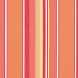 Sunbrella Dolce Mango 56000-0000 Elements Collection Upholstery Fabric