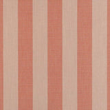 Sunbrella Expressive Blush 14123-0000 Upholstery Fabric
