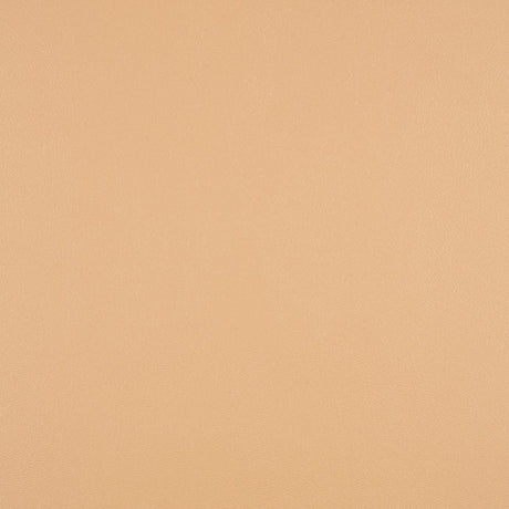Sunbrella Horizon Capriccio Toast 10200-0007 Foam Back Marine Vinyl Upholstery Fabric