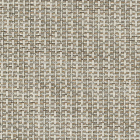 Sunbrella Igneous Sand 3050619 Sling Fabric