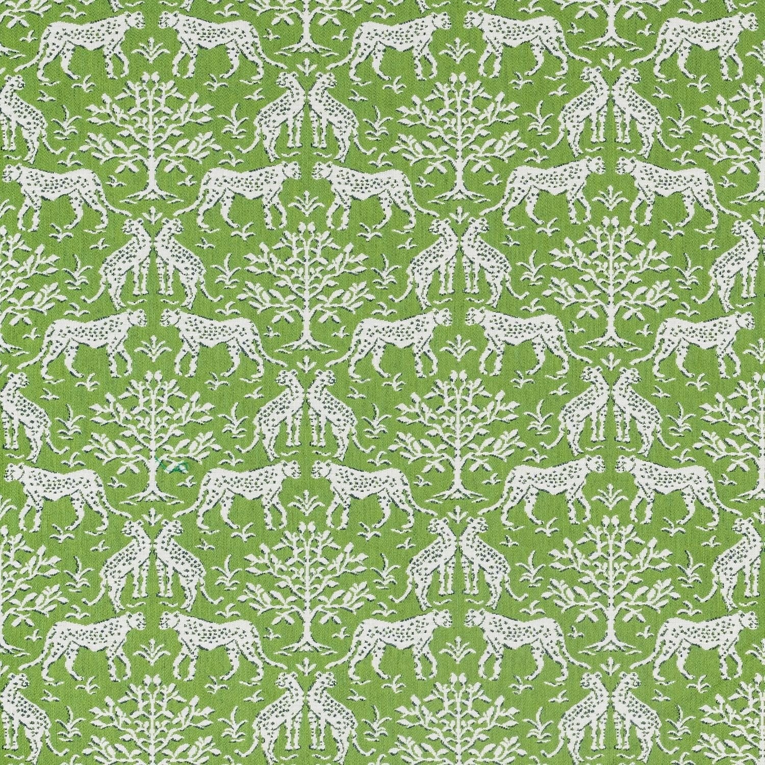 Sunbrella Jaipur Frame II Chive 146409 - 0002 Upholstery Fabric