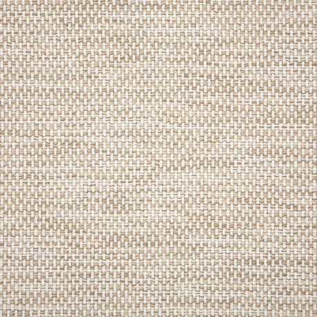 Sunbrella Mainstreet Putty 42048-0012 Upholstery Fabric