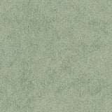 Sunbrella Moss 78007-0000 The Terry Collection Upholstery Fabric