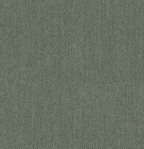 Sunbrella Natte Agave NAT P097 140 European Collection Upholstery Fabric