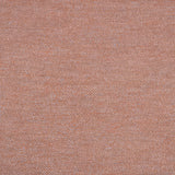 Sunbrella Nurture Clay 42102 - 0010 Balance Collection Upholstery Fabric