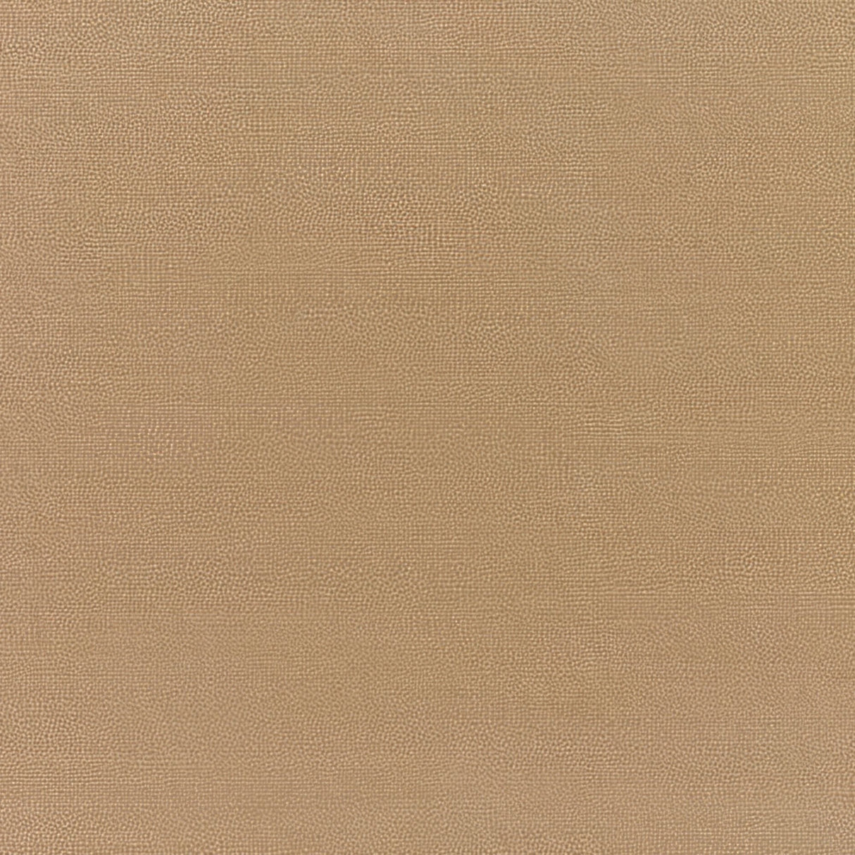 Sunbrella Canvas Cocoa 5425 - 0000 Elements Collection Upholstery Fabric