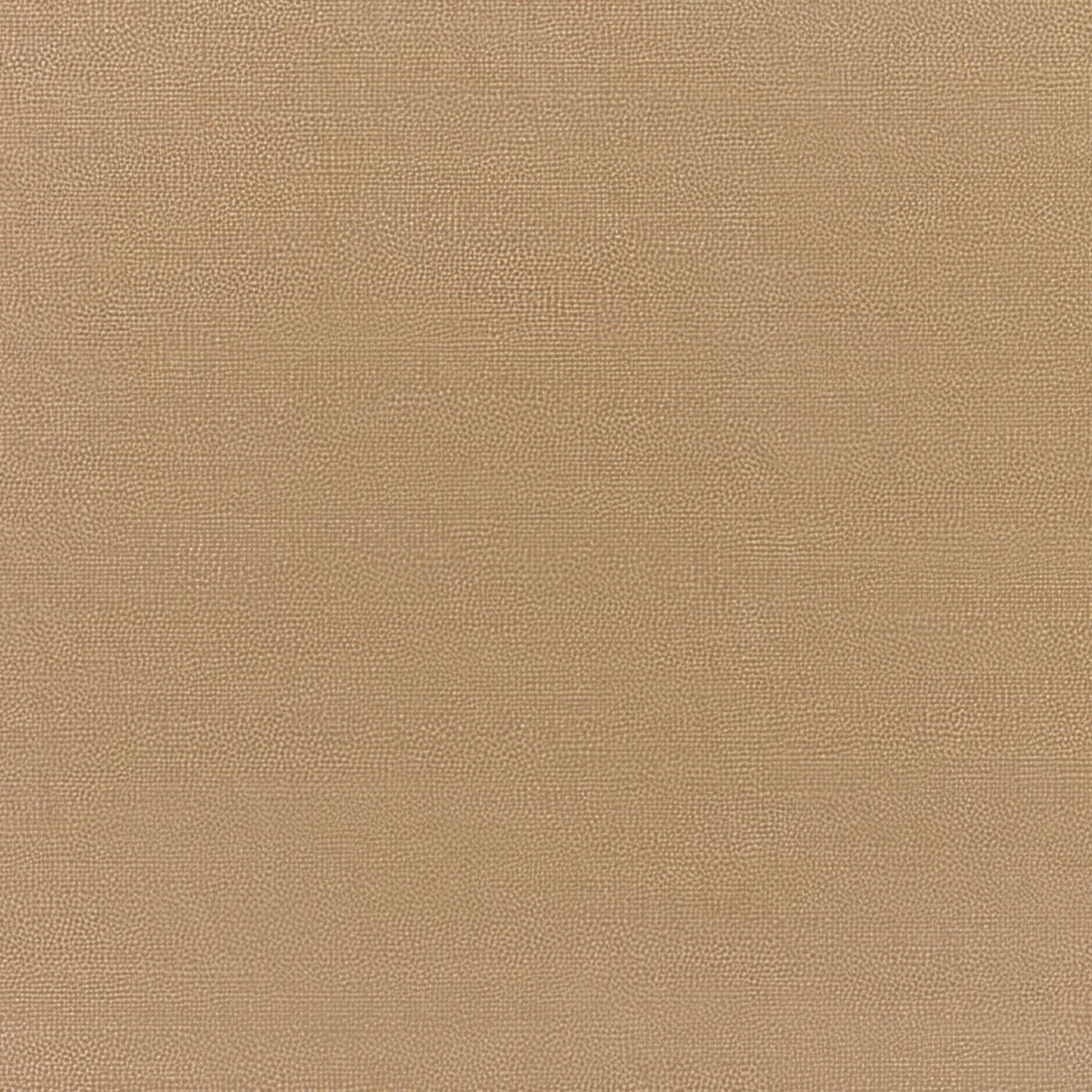 Sunbrella Canvas Cocoa 5425 - 0000 Elements Collection Upholstery Fabric
