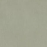 Sunbrella Canvas Seasalt 14106 - 0000 Upholstery Fabric
